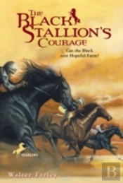 The Black Stallion'S Courage