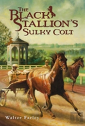 The Black Stallion'S Sulky Colt