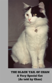 The Black Tail Of Chan: A Very Special Cat