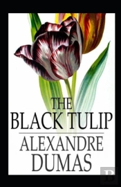 The Black Tulip
