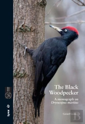 The Black Woodpecker  