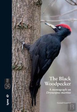 Bertrand.pt - The Black Woodpecker  