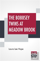 The Bobbsey Twins At Meadow Brook
