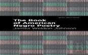 The Book Of American Negro Poetry