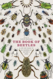 The Book Of Beetles