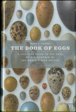 Bertrand.pt - The Book Of Eggs
