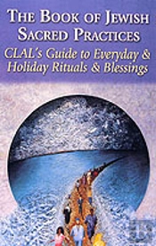 The Book Of Jewish Sacred Practices