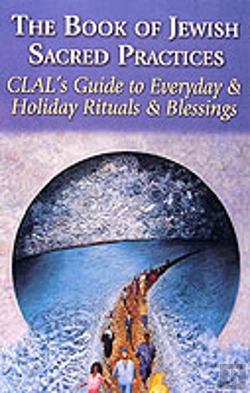 Bertrand.pt - The Book Of Jewish Sacred Practices