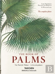 The Book of Palms