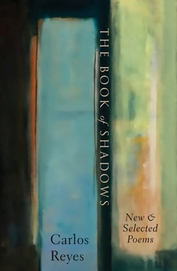 Bertrand.pt - The Book Of Shadows
