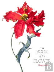 The Book Of The Flower