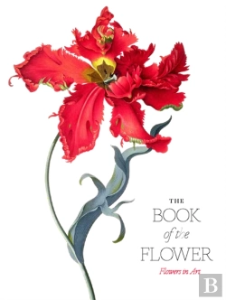 Bertrand.pt - The Book Of The Flower
