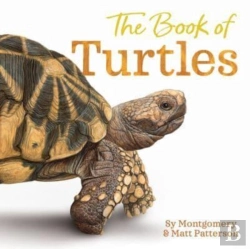 Bertrand.pt - The Book Of Turtles