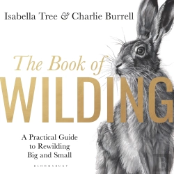 Bertrand.pt - The Book Of Wilding