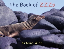 Bertrand.pt - The Book Of Zzzs
