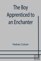The Boy Apprenticed To An Enchanter