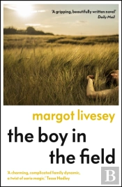 The Boy In The Field