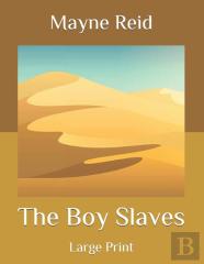 The Boy Slaves