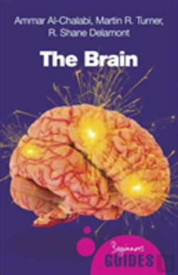 Bertrand.pt - The Brain