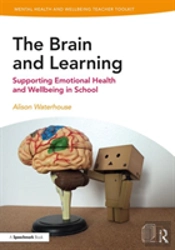 The Brain And Learning