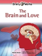 The Brain And Love