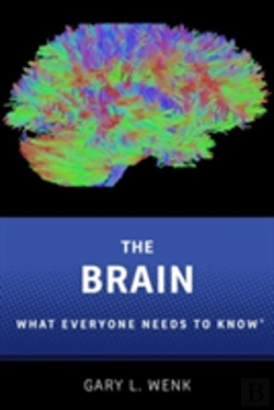 Bertrand.pt - The Brain