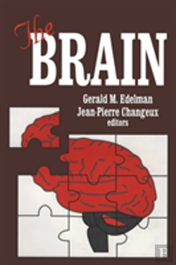Bertrand.pt - The Brain