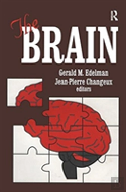 Bertrand.pt - The Brain