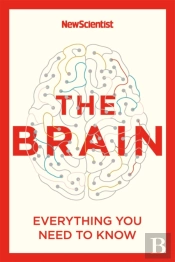 The Brain