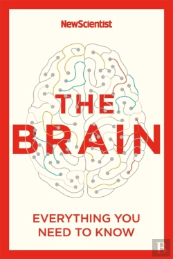 Bertrand.pt - The Brain