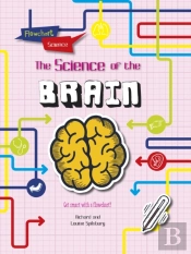 The Brain