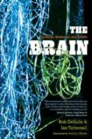 The Brain
