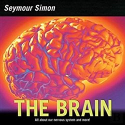 Bertrand.pt - The Brain