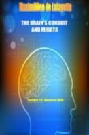 The Brain'S Conduit And Miraya. Lecture 112, Dirasaat 1969