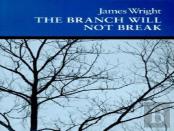 The Branch Will Not Break