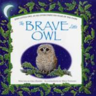 The Brave Little Owl