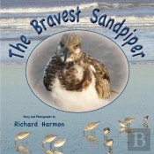 The Bravest Sandpiper
