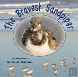 Bertrand.pt - The Bravest Sandpiper