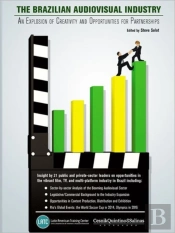 The Brazilian Audiovisual Industry