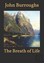 The Breath Of Life