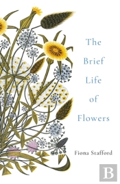 The Brief Life Of Flowers