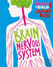 The Bright And Bold Human Body: The Brain And Nervous System