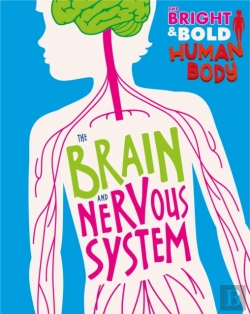 Bertrand.pt - The Bright And Bold Human Body: The Brain And Nervous System