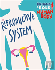 The Bright And Bold Human Body: The Reproductive System