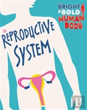 The Bright And Bold Human Body: The Reproductive System
