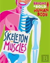 The Bright And Bold Human Body: The Skeleton And Muscles