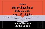 The Bright Book Of Life