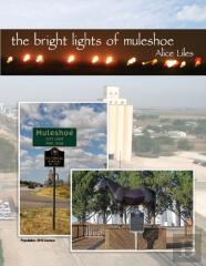 The Bright Lights Of Muleshoe