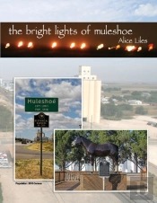 The Bright Lights Of Muleshoe