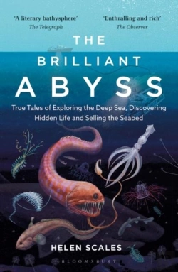 Bertrand.pt - The Brilliant Abyss
